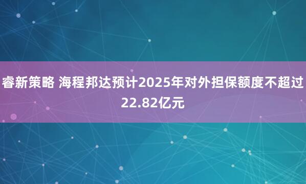 睿新策略 海程邦达预计2025年对外担保额度不超过22.82亿元