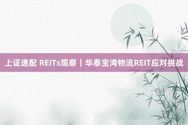 上证速配 REITs观察｜华泰宝湾物流REIT应对挑战