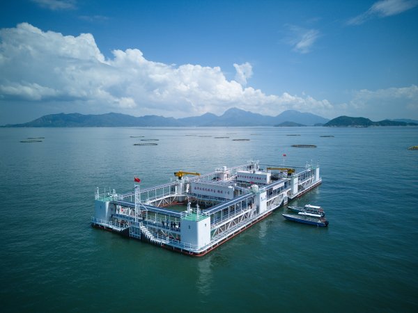 巨牛盈 海上新广东·新力量图集