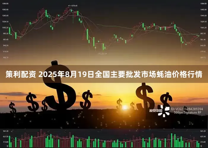 策利配资 2025年8月19日全国主要批发市场蚝油价格行情